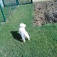 jugando en el jardin